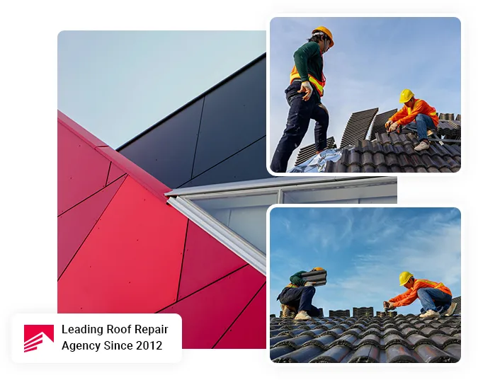 Home - Roofer in Solihull, Roof Repairs, Roof Installations, Roof Cleaning and Treatment 1 Roofers in Solihull
